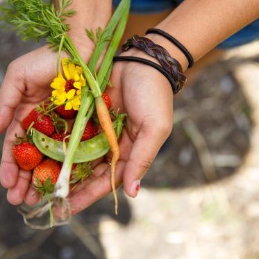 fruit and a flower being presented on the hands of a student